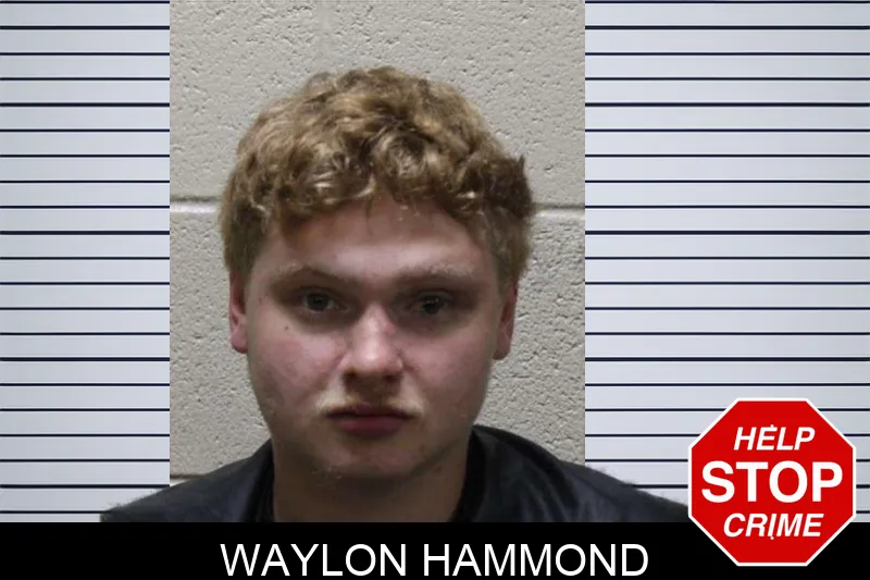Waylon Hammond mugshot