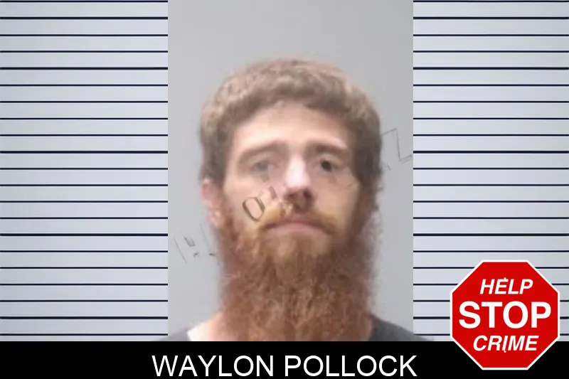 Waylon Pollock mugshot