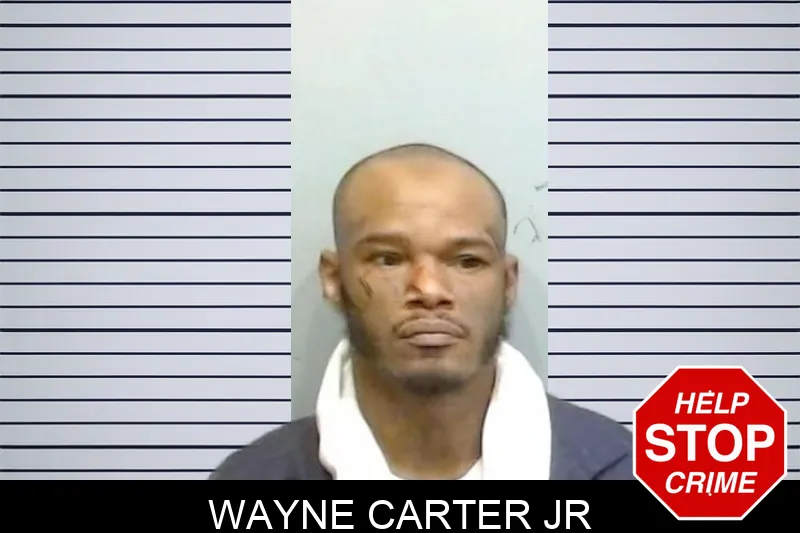 Wayne Carter Jr mugshot