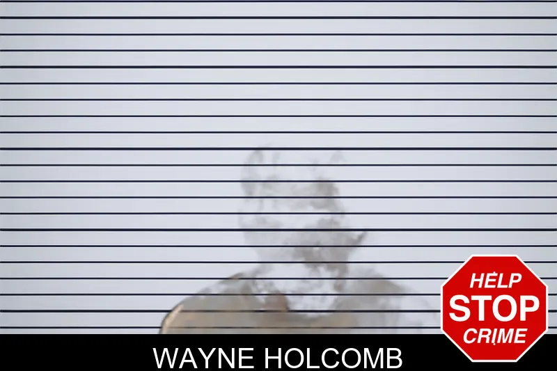 Wayne Holcomb mugshot