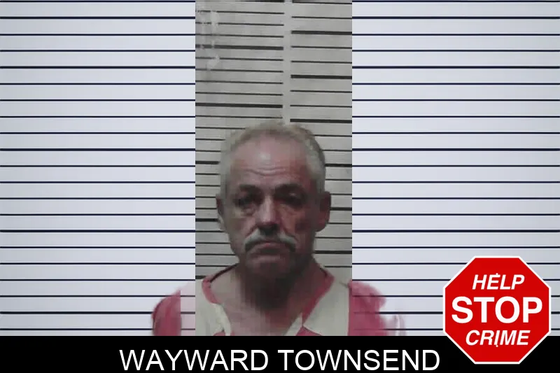 Wayward Townsend mugshot