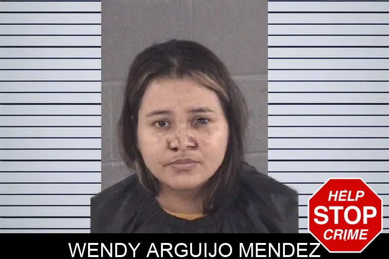 Wendy Arguijo Mendez mugshot