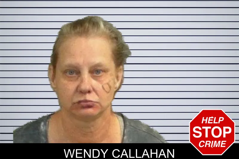 Wendy Callahan mugshot