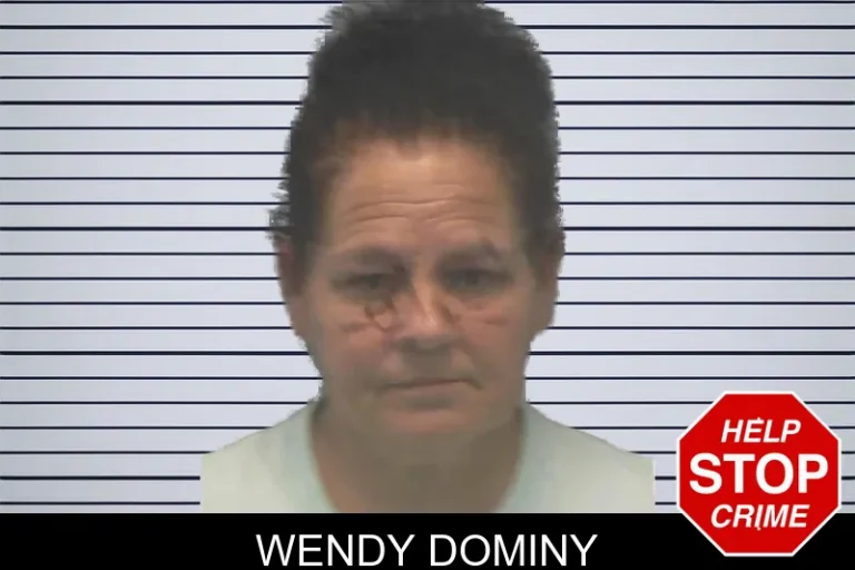 Wendy Dominy