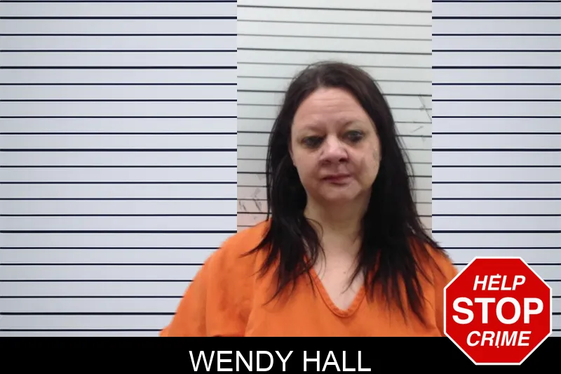 Wendy Hall mugshot