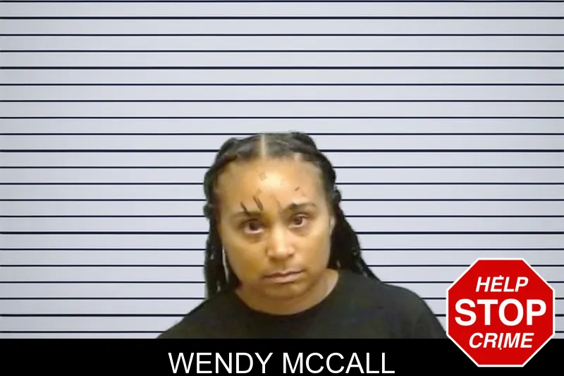 Wendy McCall mugshot