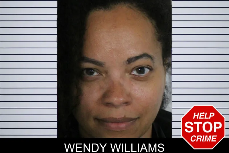 Wendy Williams mugshot