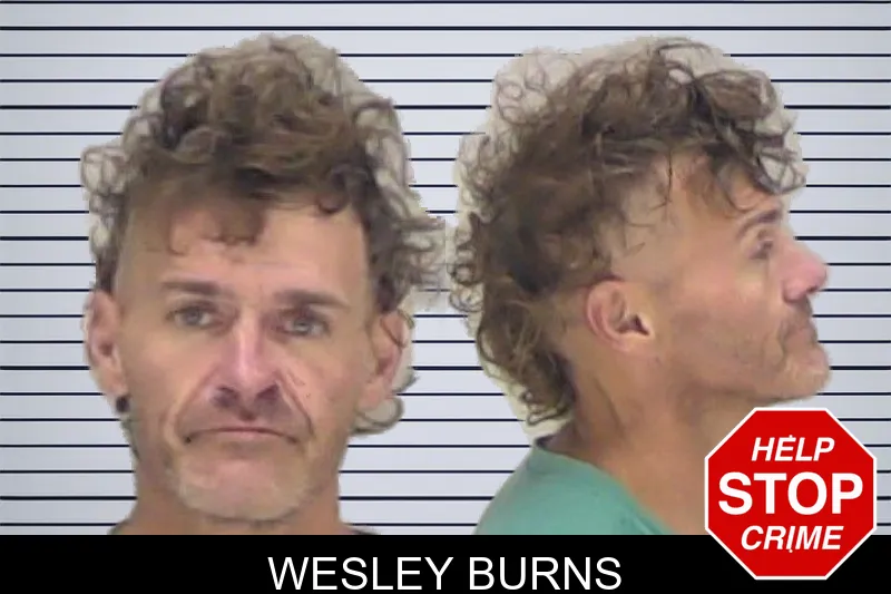 Wesley Burns mugshot