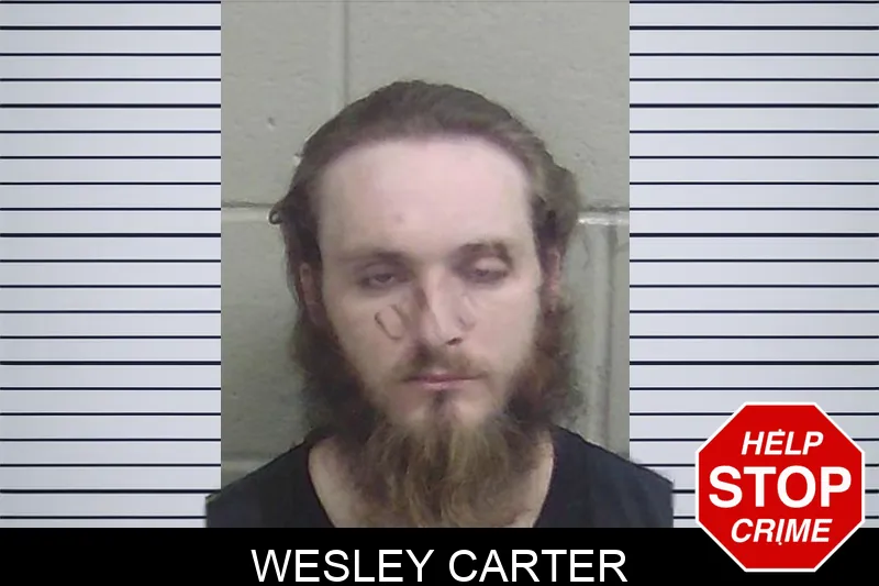 Wesley Carter mugshot