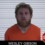 Wesley Gibson mugshot