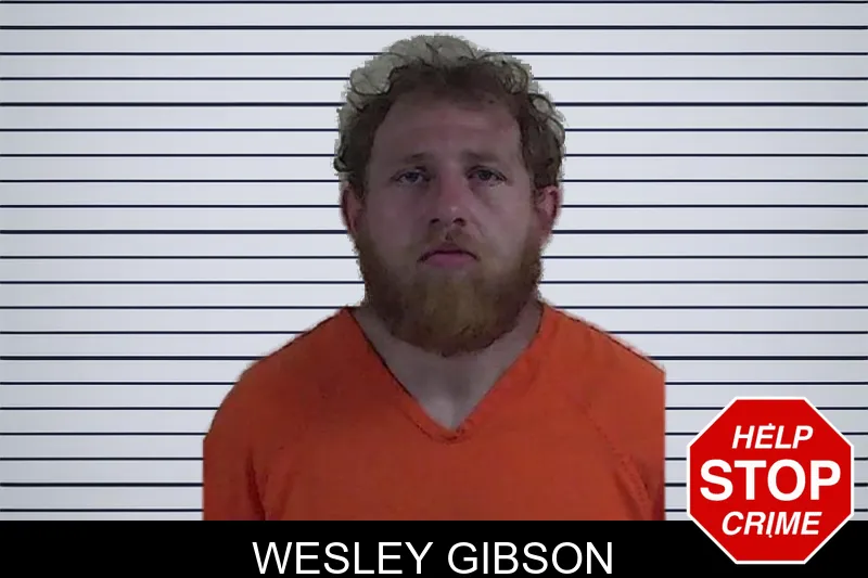 Wesley Gibson mugshot