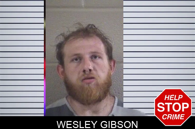 Wesley Gibson mugshot