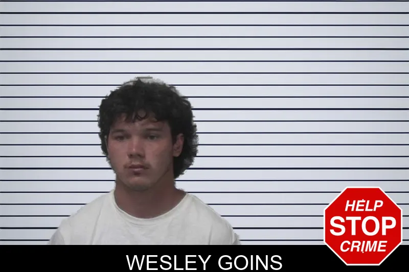 Wesley Goins mugshot
