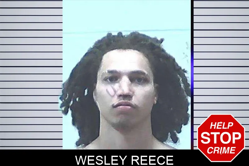 Wesley Reece mugshot