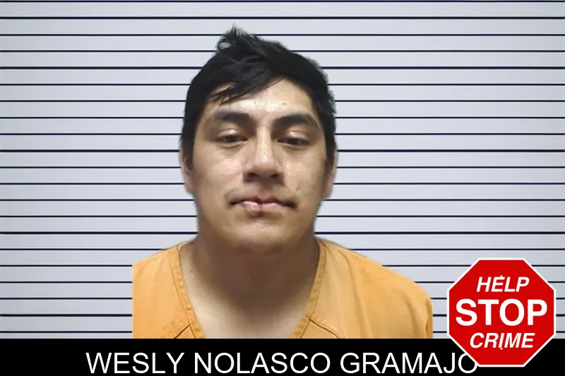 Wesly Nolasco Gramajo mugshot