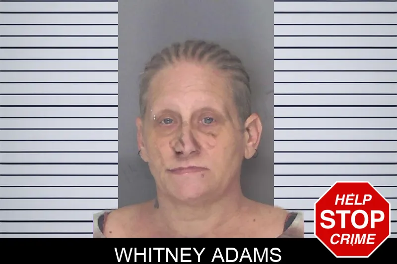 Whitney Adams mugshot