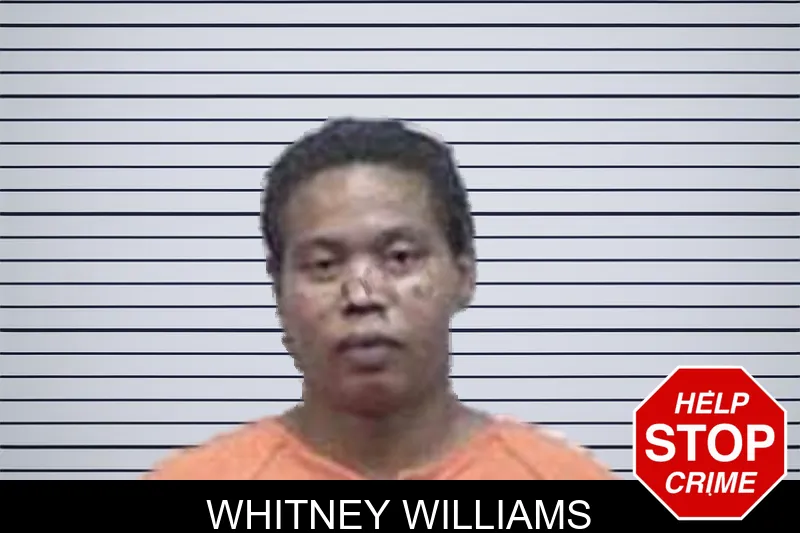 Whitney Williams mugshot