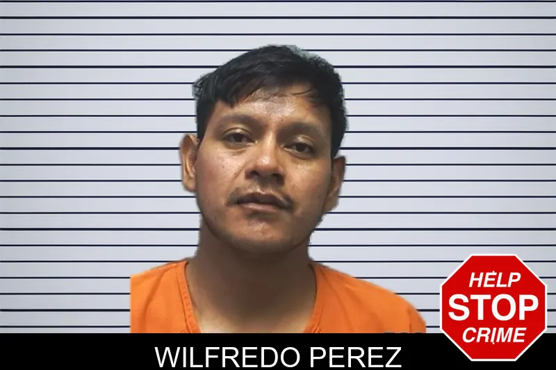 Wilfredo Perez mugshot