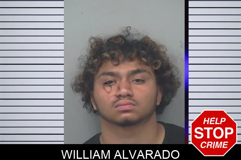 William Alvarado mugshot