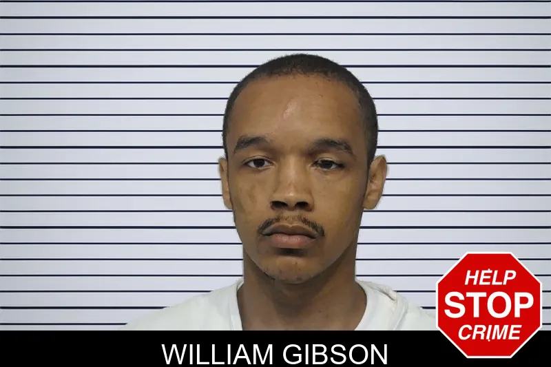 William Gibson mugshot