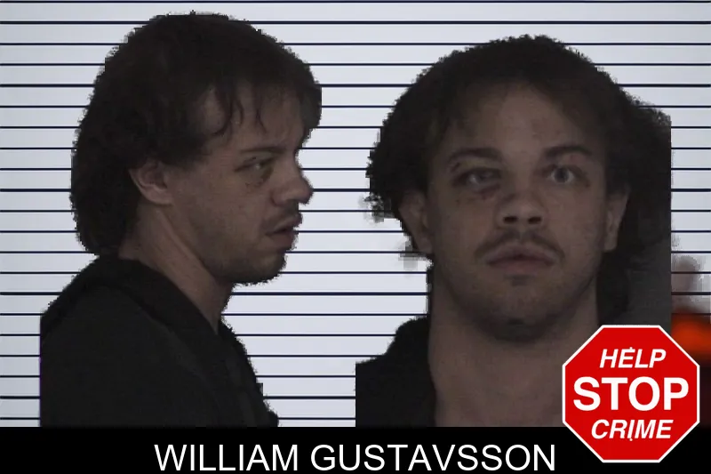 William Gustavsson mugshot
