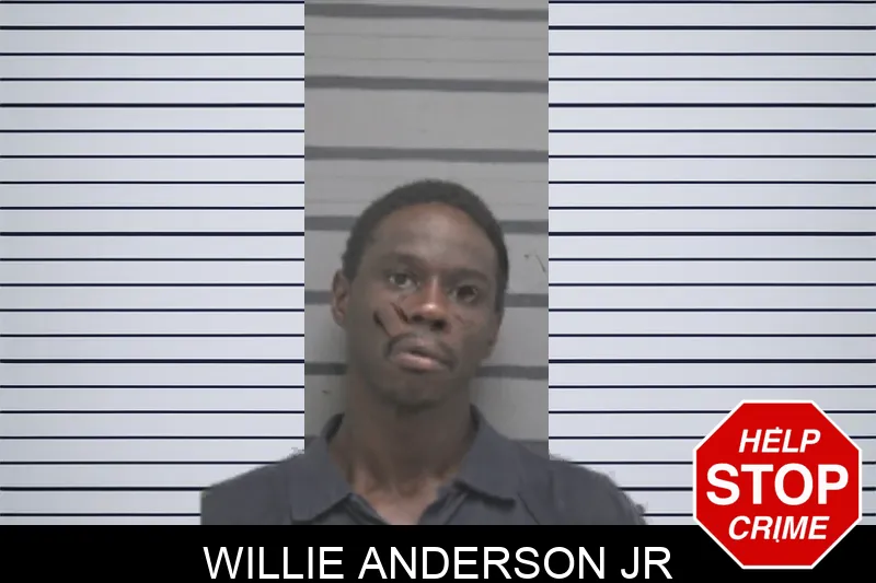 Willie Anderson Jr mugshot