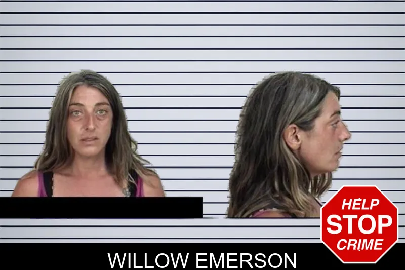 Willow Emerson mugshot