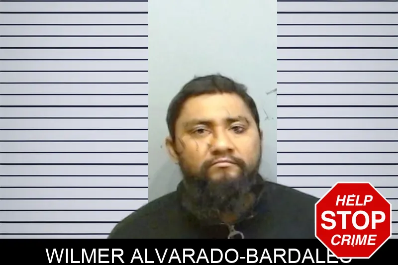 Wilmer Alvarado-Bardales mugshot
