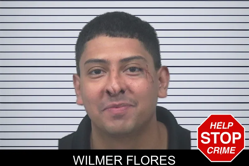 Wilmer Flores mugshot