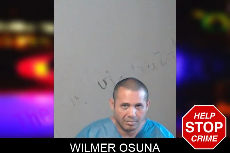 Wilmer Osuna mugshot