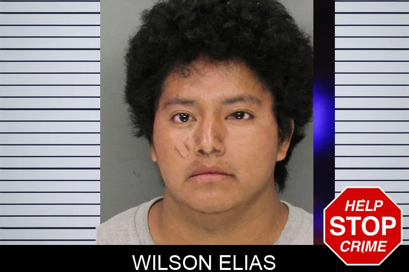 Wilson Elias mugshot