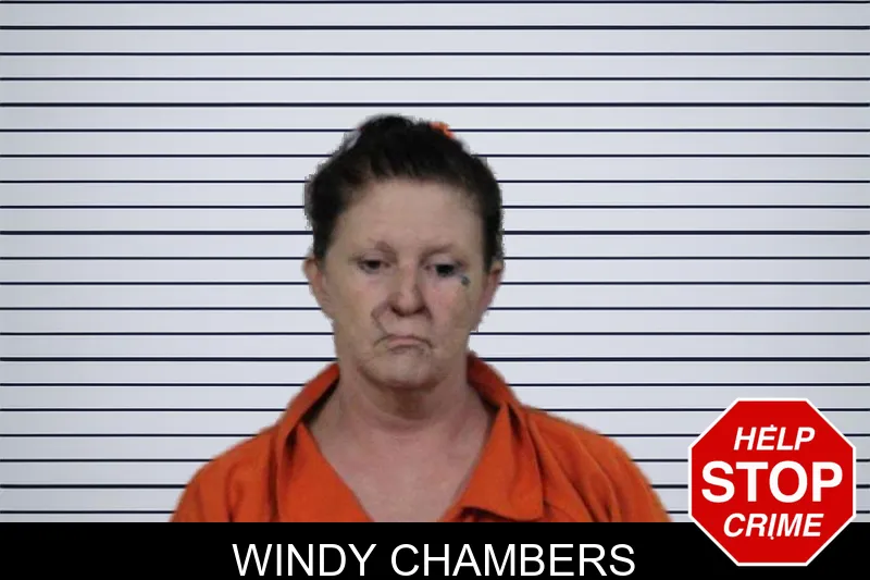 Windy Chambers mugshot