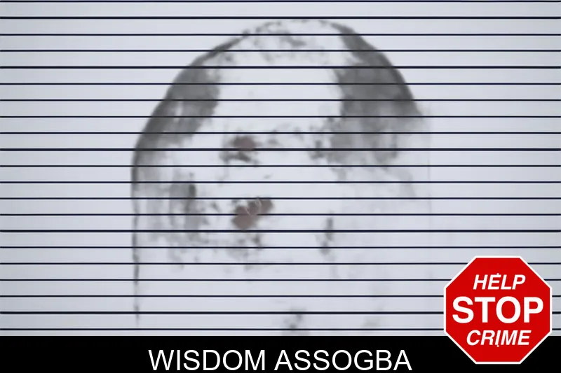 Wisdom Assogba mugshot