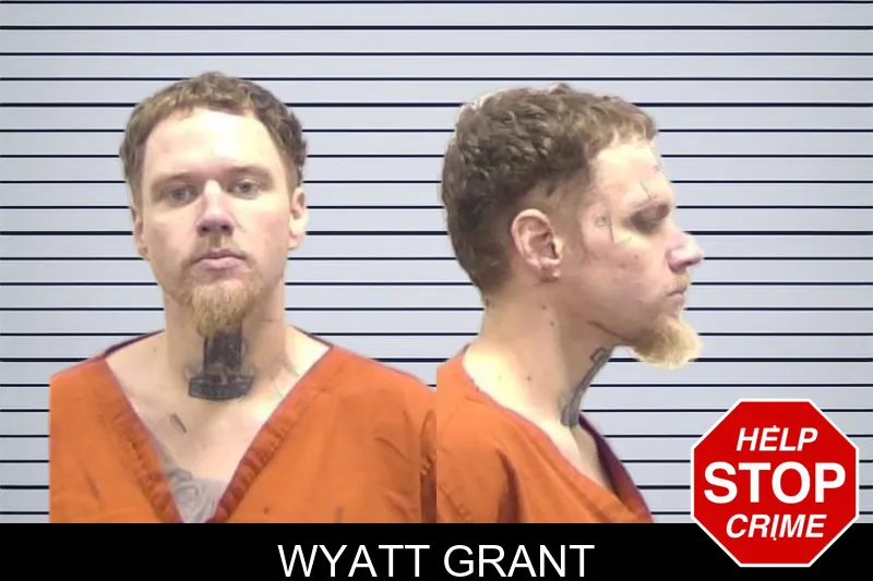 Wyatt Grant mugshot