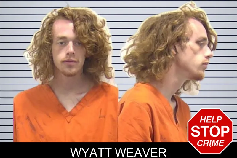 Wyatt Weaver mugshot
