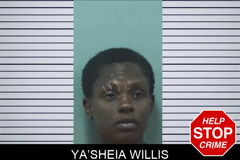 Ya’Sheia Willis mugshot