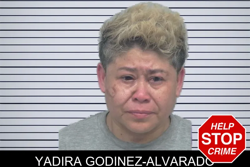 Yadira Godinez-Alvarado mugshot
