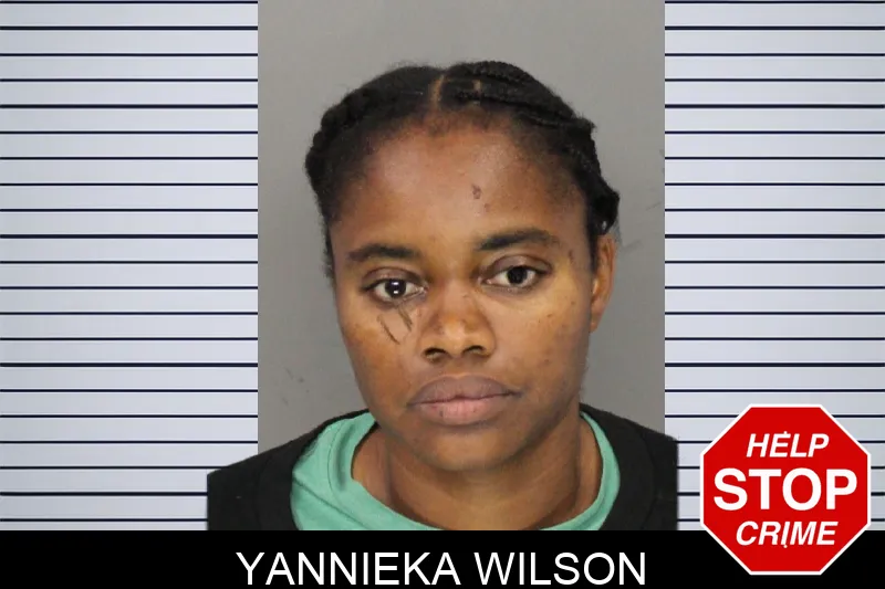 Yannieka Wilson mugshot