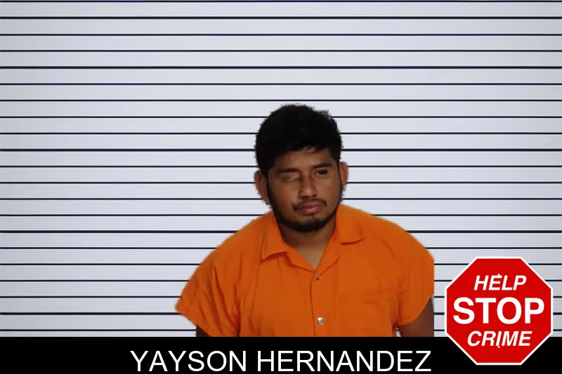 Yayson Hernandez mugshot