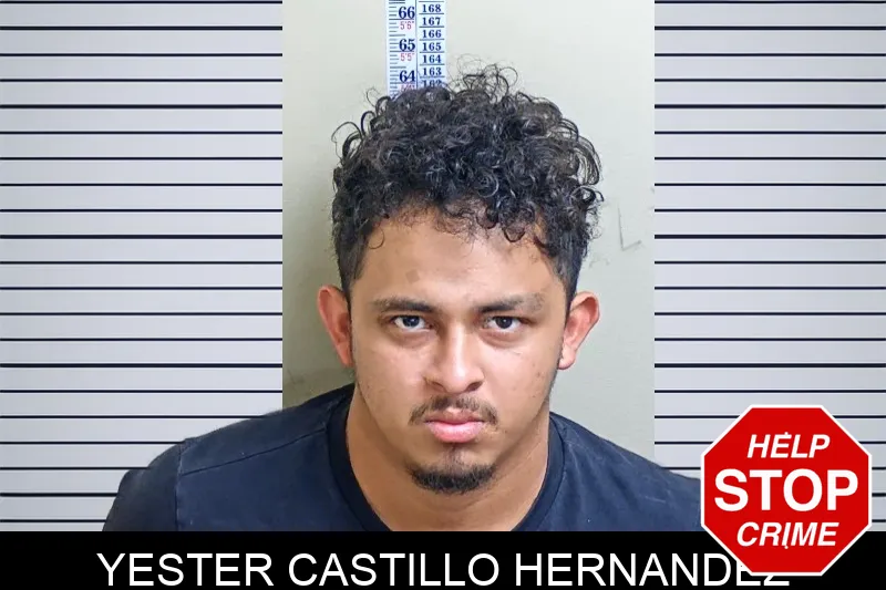 Yester Castillo Hernandez mugshot