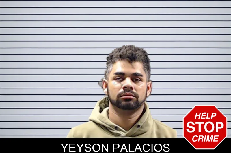 Yeyson Palacios mugshot