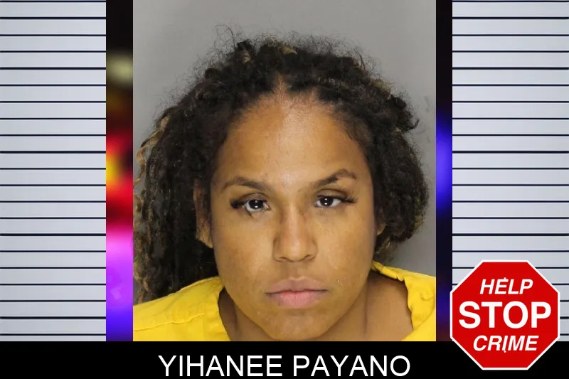 Yihanee Payano mugshot