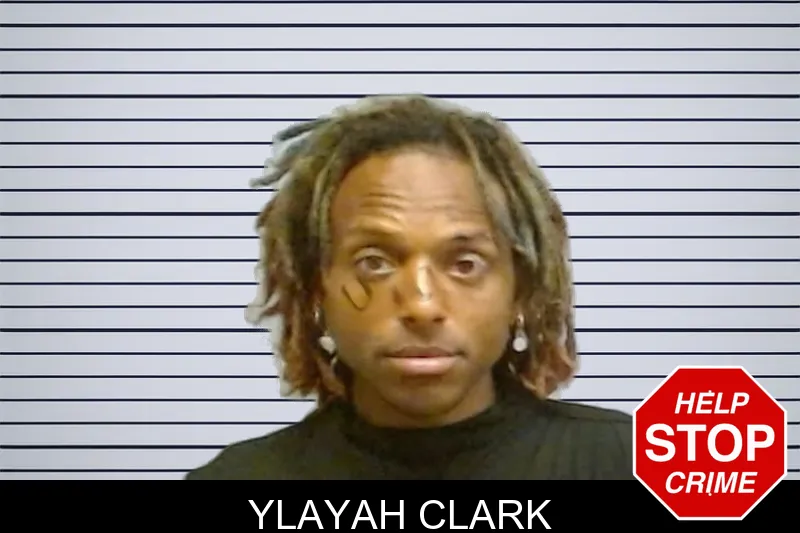 Ylayah Clark mugshot