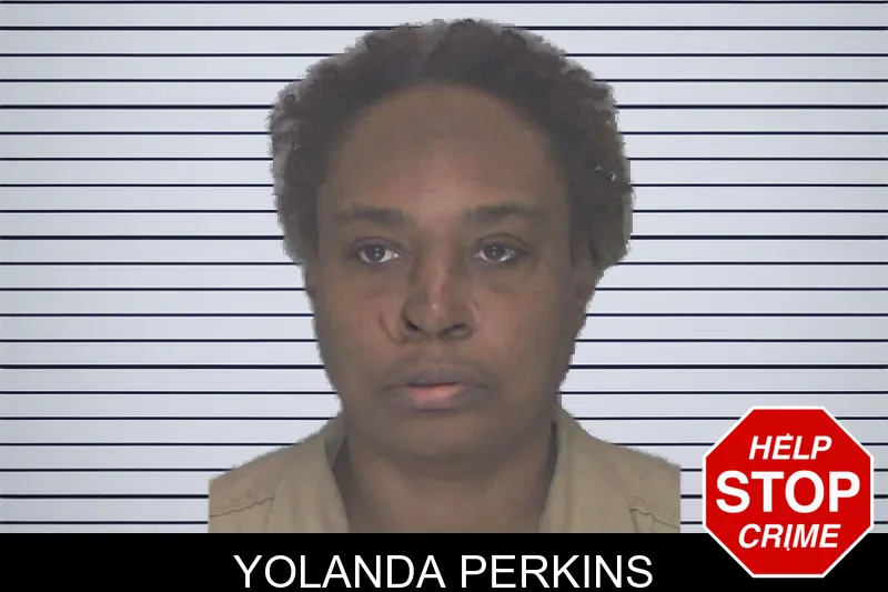 Yolanda Perkins mugshot