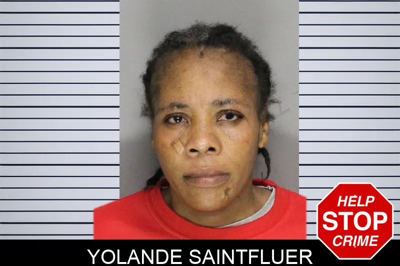 Yolande Saintfluer mugshot