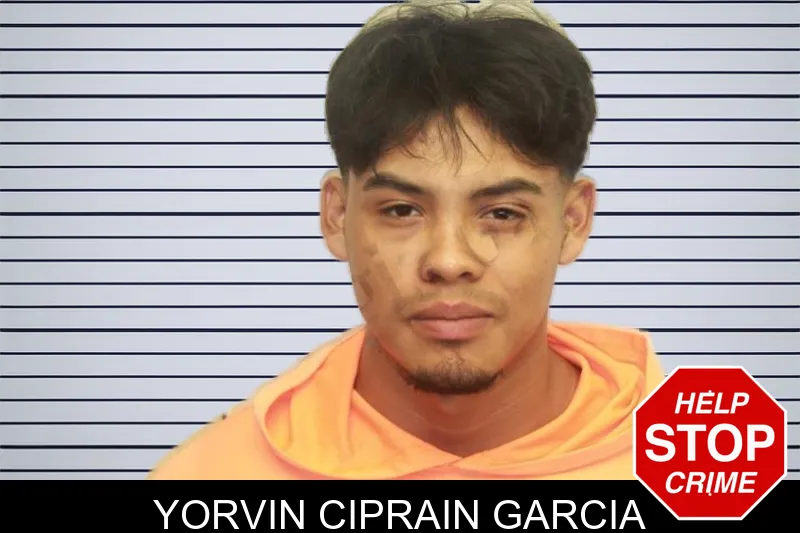 Yorvin Ciprain Garcia mugshot