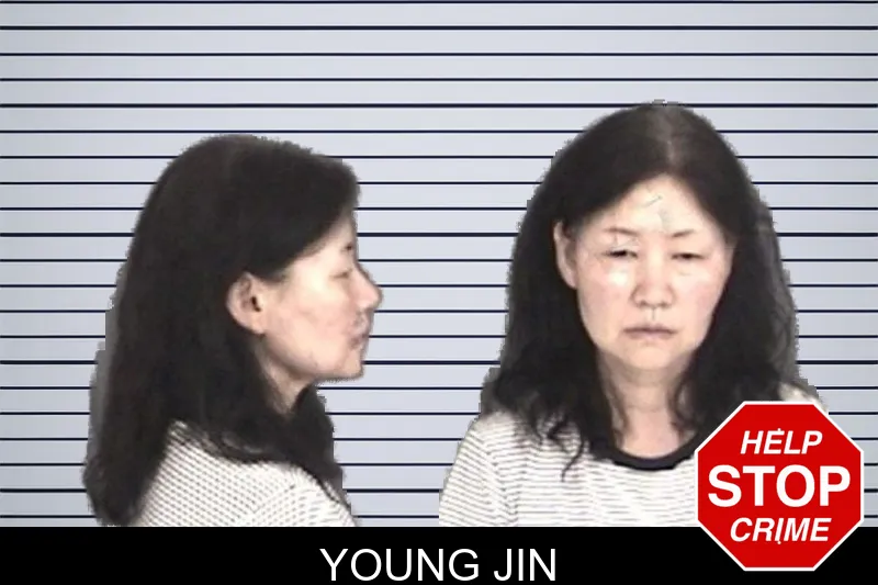 Young Jin mugshot