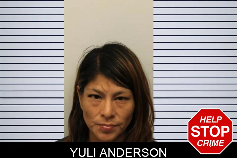 Yuli Anderson mugshot