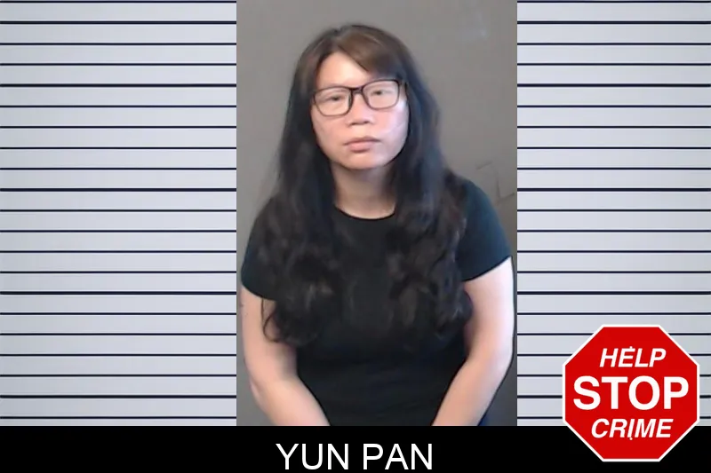 Yun Pan mugshot