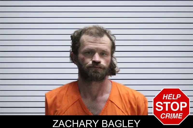 Zachary Bagley mugshot